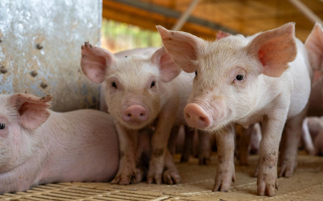 新闻标题文字演示二