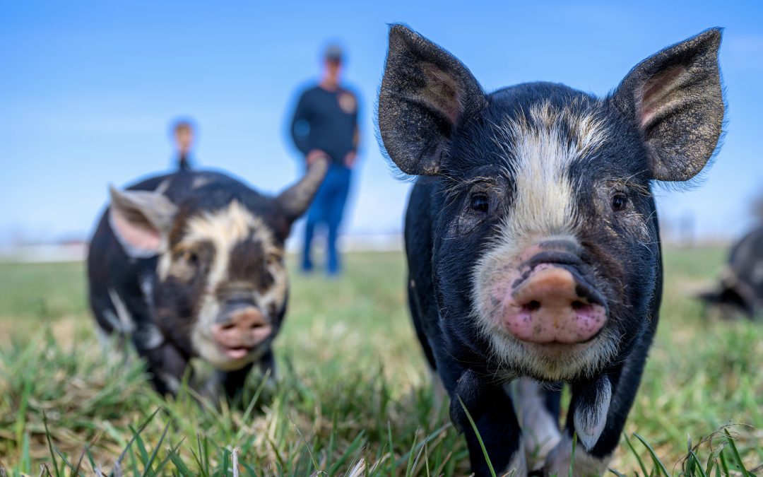 新闻标题文字演示四